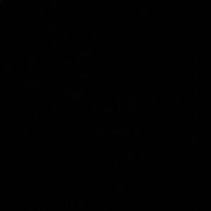 Meet your Posher, Nyiesha